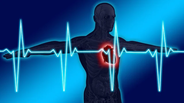 Heart rate monitor